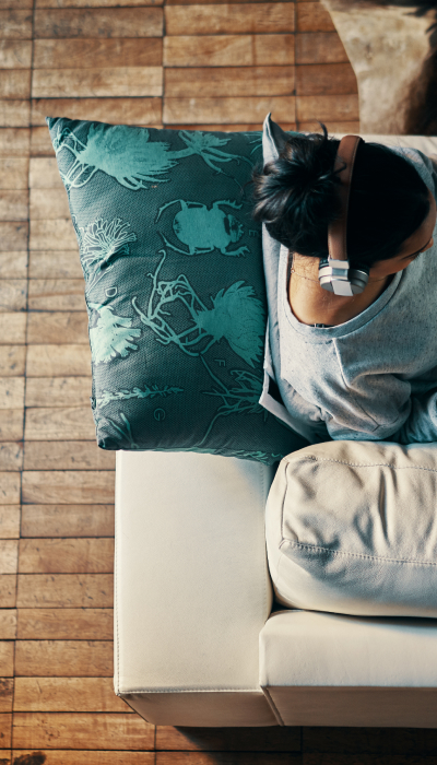 Programa para control de pagos y abonos